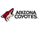 Arizona Coyotes